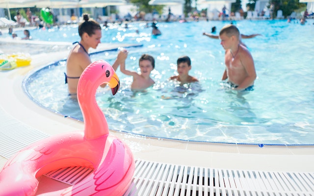 rosa flamingo schwimmer